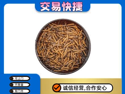 宁波礼品回收虫草.jpg
